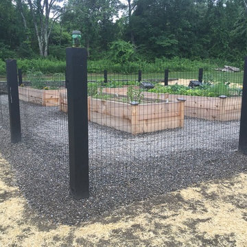 Raised garden beds and deer fence