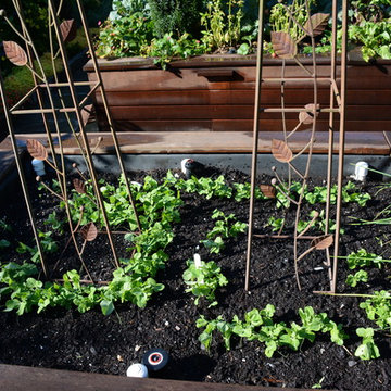 Raised Vegetable Bed / Ornamental Garden 2016