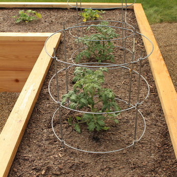 Raised Vegetable Garden Perfect for Home Grown Produce