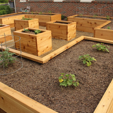 Raised Vegetable Garden Perfect for Home Grown Produce