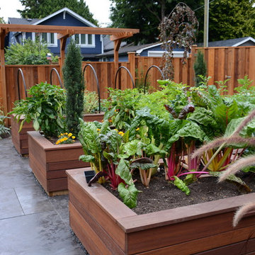 Raised Vegetable / Ornamental Garden