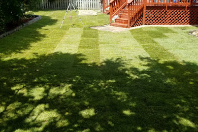 This is an example of a mid-sized traditional full sun backyard landscaping in Raleigh for summer.
