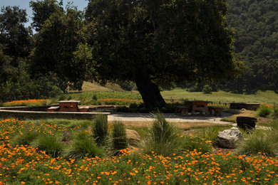 Photo of a huge farmhouse partial sun backyard landscaping in Santa Barbara.