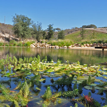 Ranch Reservoir & Nectar Garden w/ BioHaven Floating Island