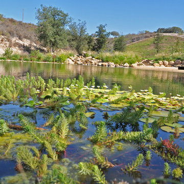 Ranch Reservoir & Nectar Garden w/ BioHaven Floating Island