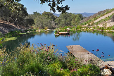 This is an example of a huge contemporary full sun backyard gravel pond in Santa Barbara for summer.