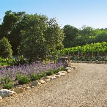 Rancho Alamar