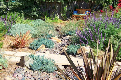 Inspiration for a mediterranean drought-tolerant and full sun landscaping in San Diego.
