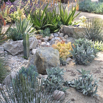 Rancho San Diego Mediterranean Garden
