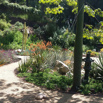 Rancho San Diego Mediterranean Garden