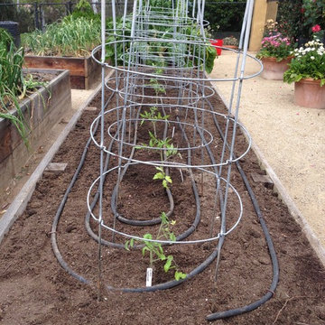 Rancho Santa Fe Edible Garden