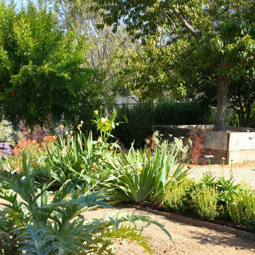 Rancho Santa Fe Edible Garden
