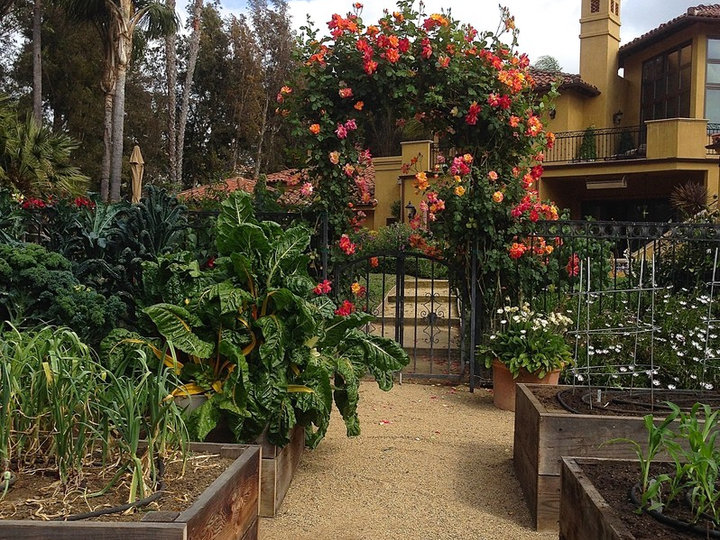 Mediterranean Landscape - Landscape