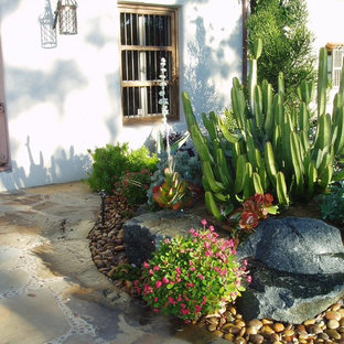 Rancho Santa Fe landscape