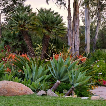 Rancho Santa Fe Spanish Colonial