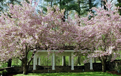 10 Ways to Fight Pollen at Home