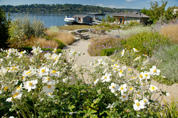 Beach Style Garden by Broadhurst + Associates