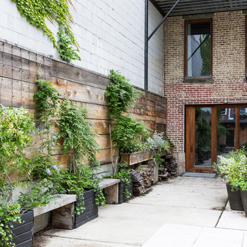 Rear of house and garden