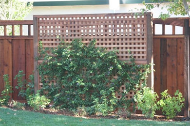 Ejemplo de acceso privado clásico de tamaño medio en patio lateral con exposición total al sol y con madera