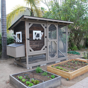 Reclaimed Wood Chicken Coop