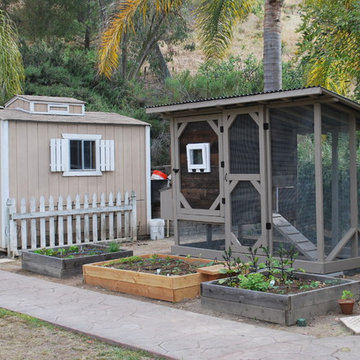 Reclaimed Wood Chicken Coop