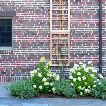 Red cedar trellis with climbing clematis and hydrangea.