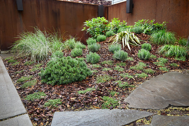 Contemporary Landscape by New Eco Landscapes