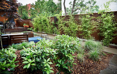 A Front Yard Regrows in Brooklyn