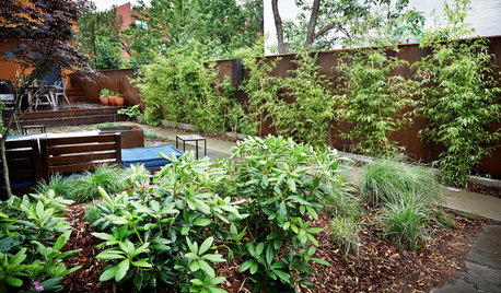A Front Yard Regrows in Brooklyn