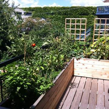 Red Hook Terrace/Garden