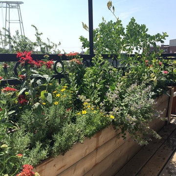 Red Hook Terrace/Garden