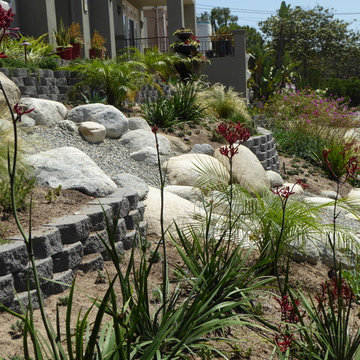 Redondo Beach succulent garden