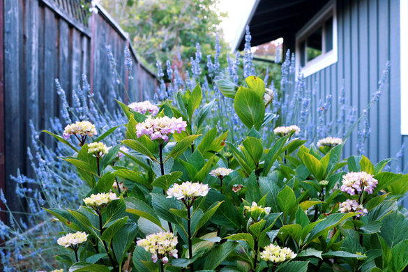 Bay Stone Landscaping - Richmond, CA, US 94804 | Houzz