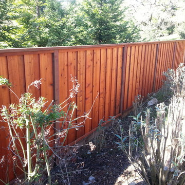 Redwood fencing