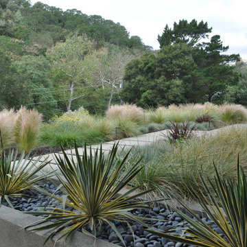 Regional California Landscape