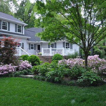 Rejuvenated Backyard
