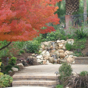 Remarkable Gardens