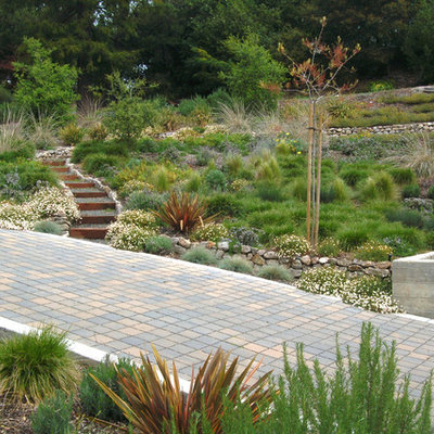 Photo of a contemporary retaining wall landscape in San Francisco.