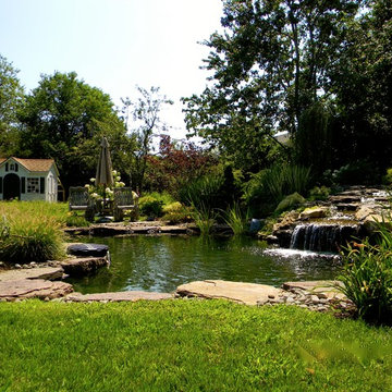 Remsenberg Koi Pond