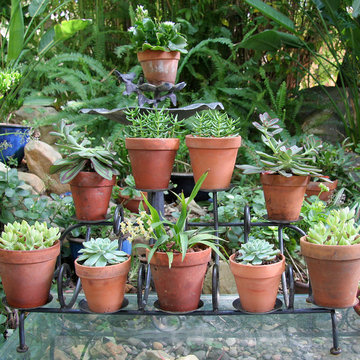 RePurposed Planter for Succulents