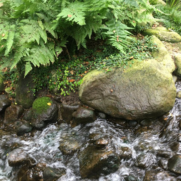 Residential Backyard Water Feature