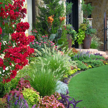 Landscaping Ideas!