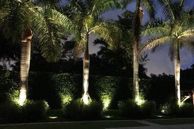 マイアミにあるトロピカルスタイルのおしゃれな庭の写真