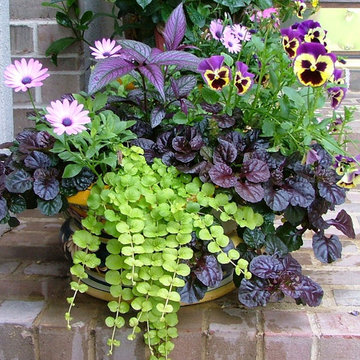 Residential Landscape Throughout The Growing Season