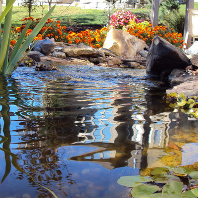 Photo of a traditional water fountain landscape in Kansas City.