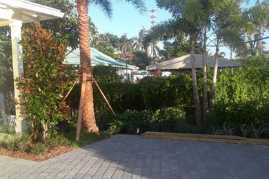 This is an example of a contemporary landscaping in Miami.