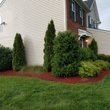 Residential Landscaping Services - Outdoor Plant Bed with Mulch
