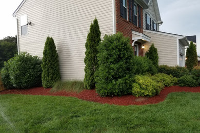 This is an example of a huge side yard landscaping in Richmond.