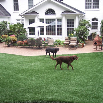 Residential Lawn