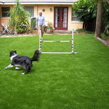 Residential Lawn